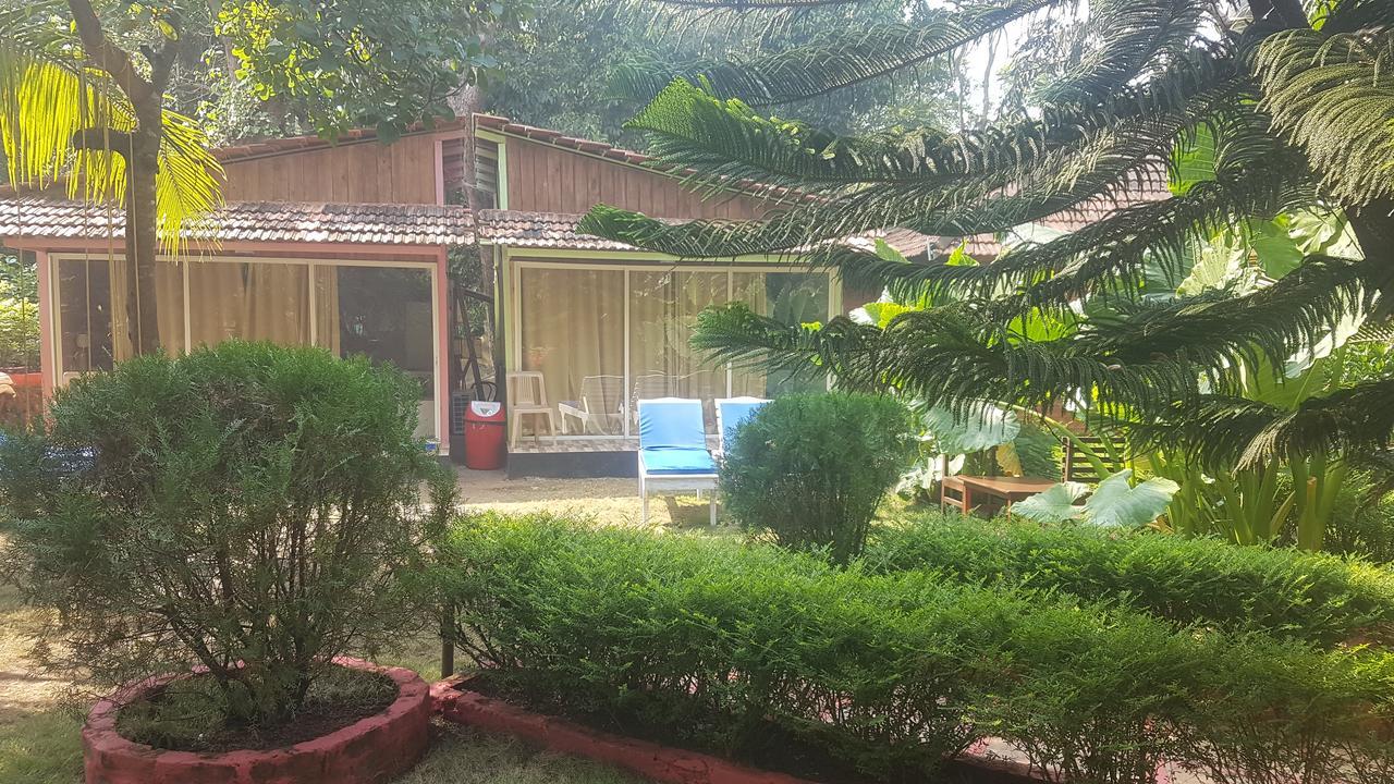 Curlies Zulu Land Hostel Anjuna Ngoại thất bức ảnh
