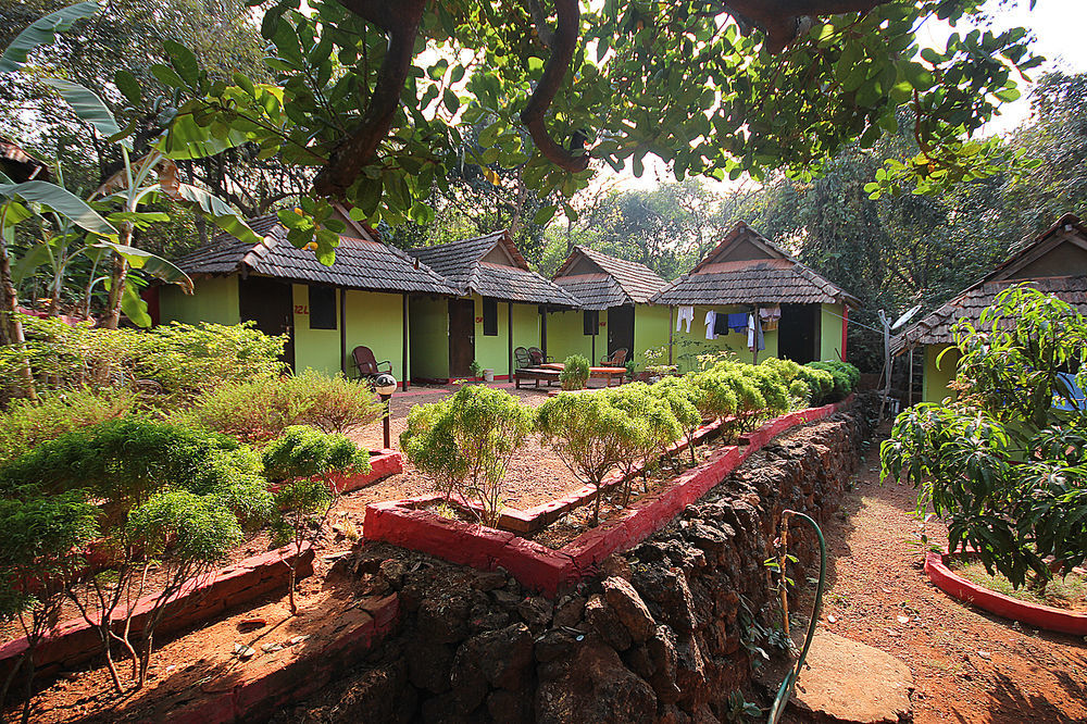 Curlies Zulu Land Hostel Anjuna Ngoại thất bức ảnh